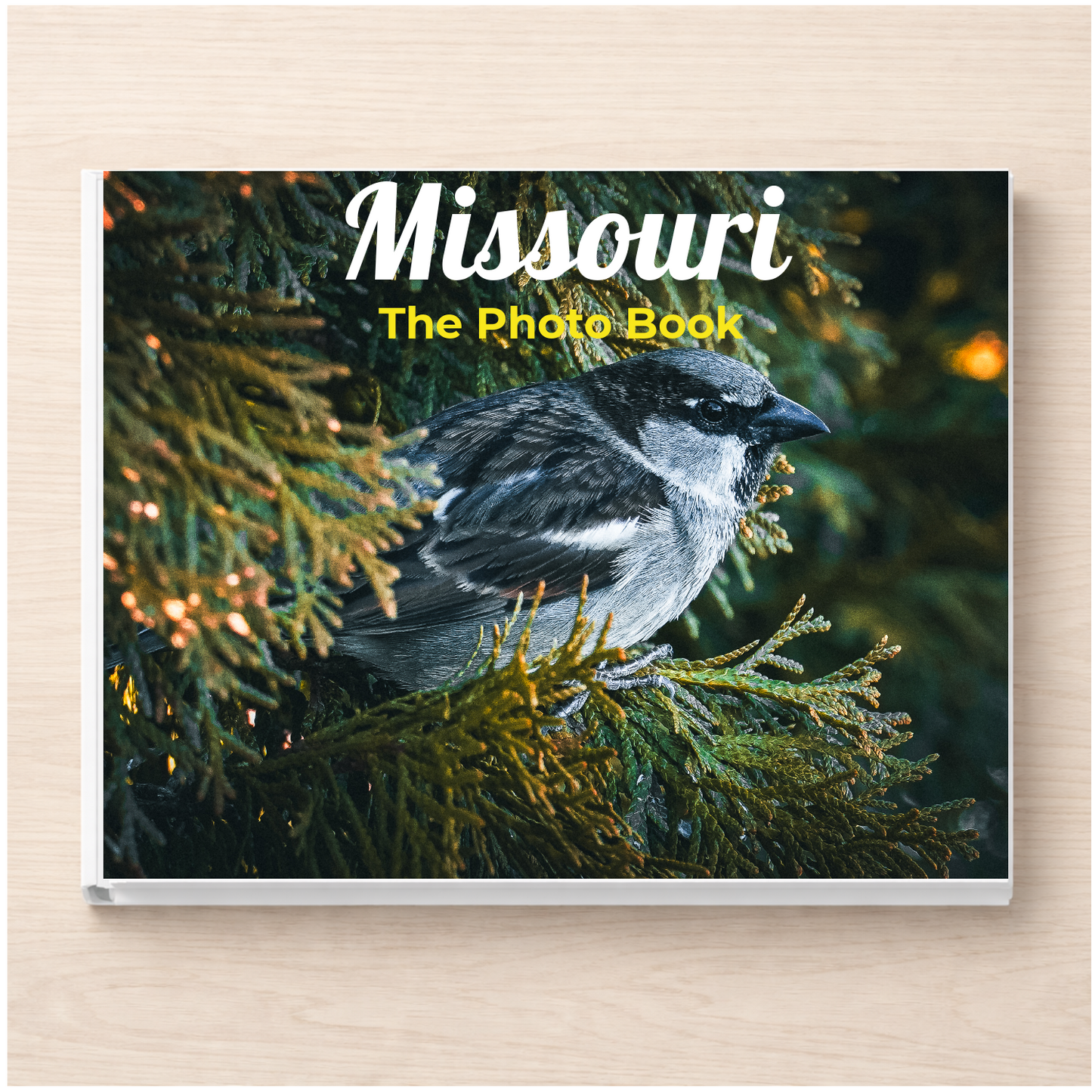 Missouri: The Photo Book
