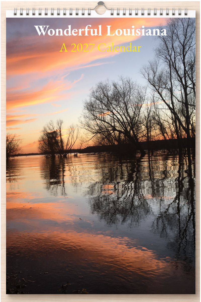 Wonderful Louisiana: A 2027 Calendar