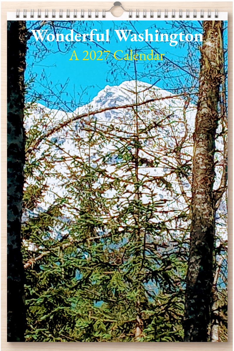 Wonderful Washington: A 2027 Calendar