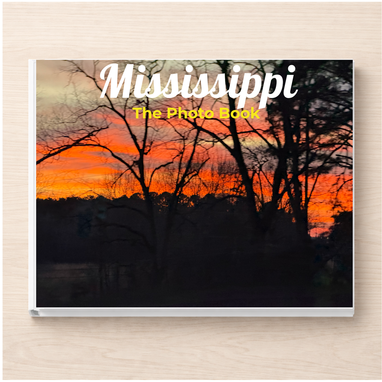 Mississippi: The Photo Book