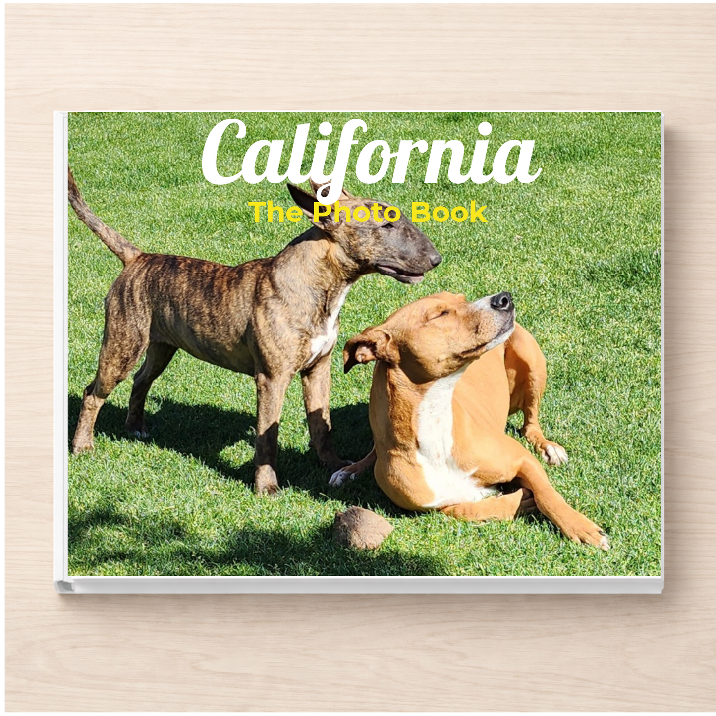 California: The Photo Book