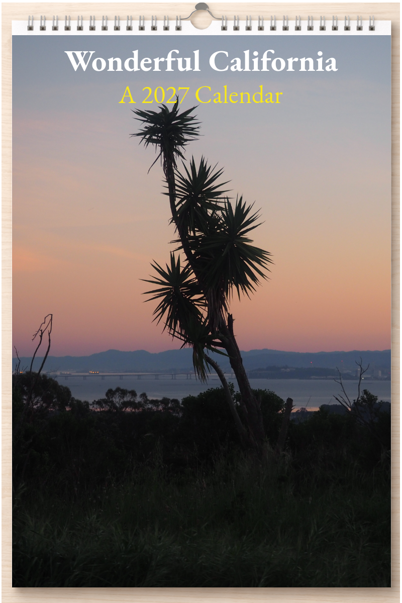 Wonderful California: A 2027 Calendar