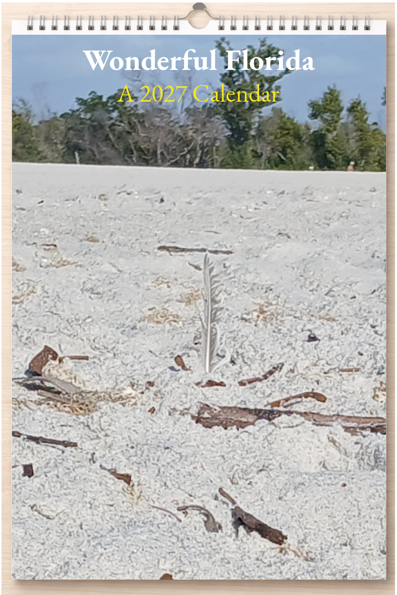 Wonderful Florida: A 2027 Calendar