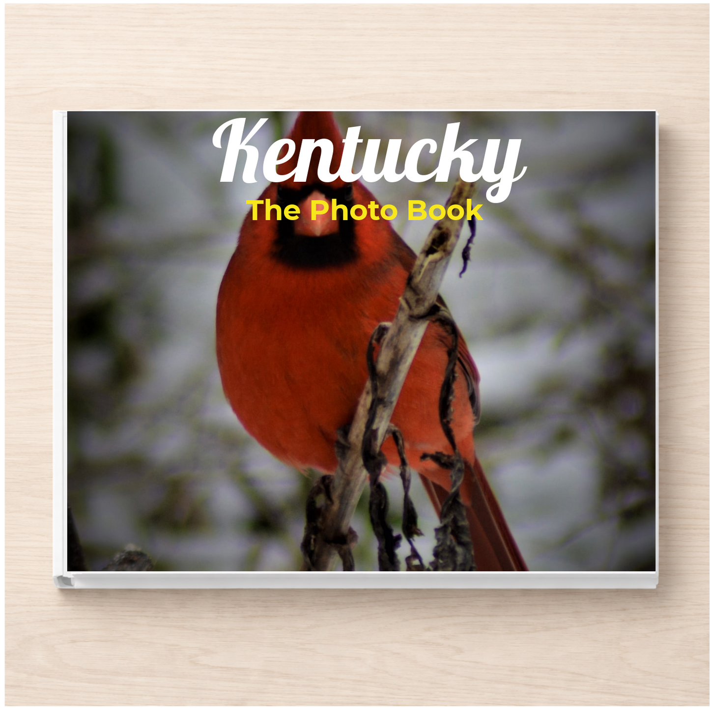 Kentucky: The Photo Book