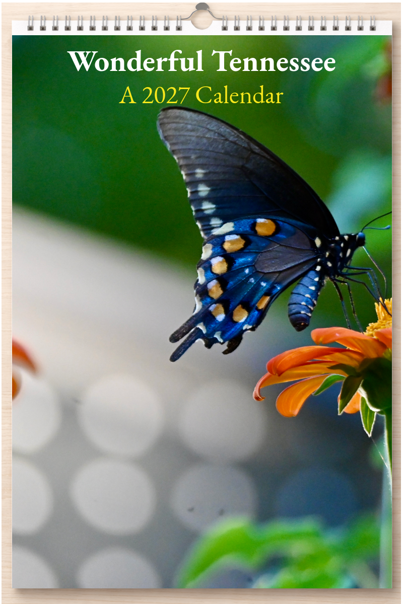 Wonderful Tennessee: A 2027 Calendar