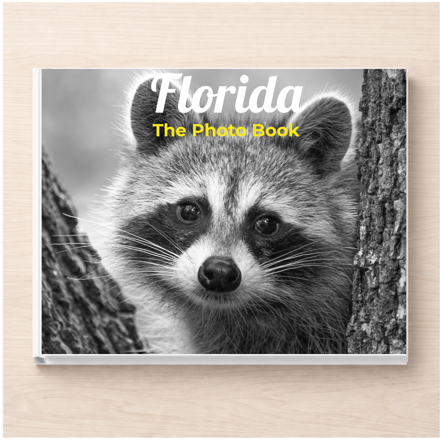 Florida: The Photo Book