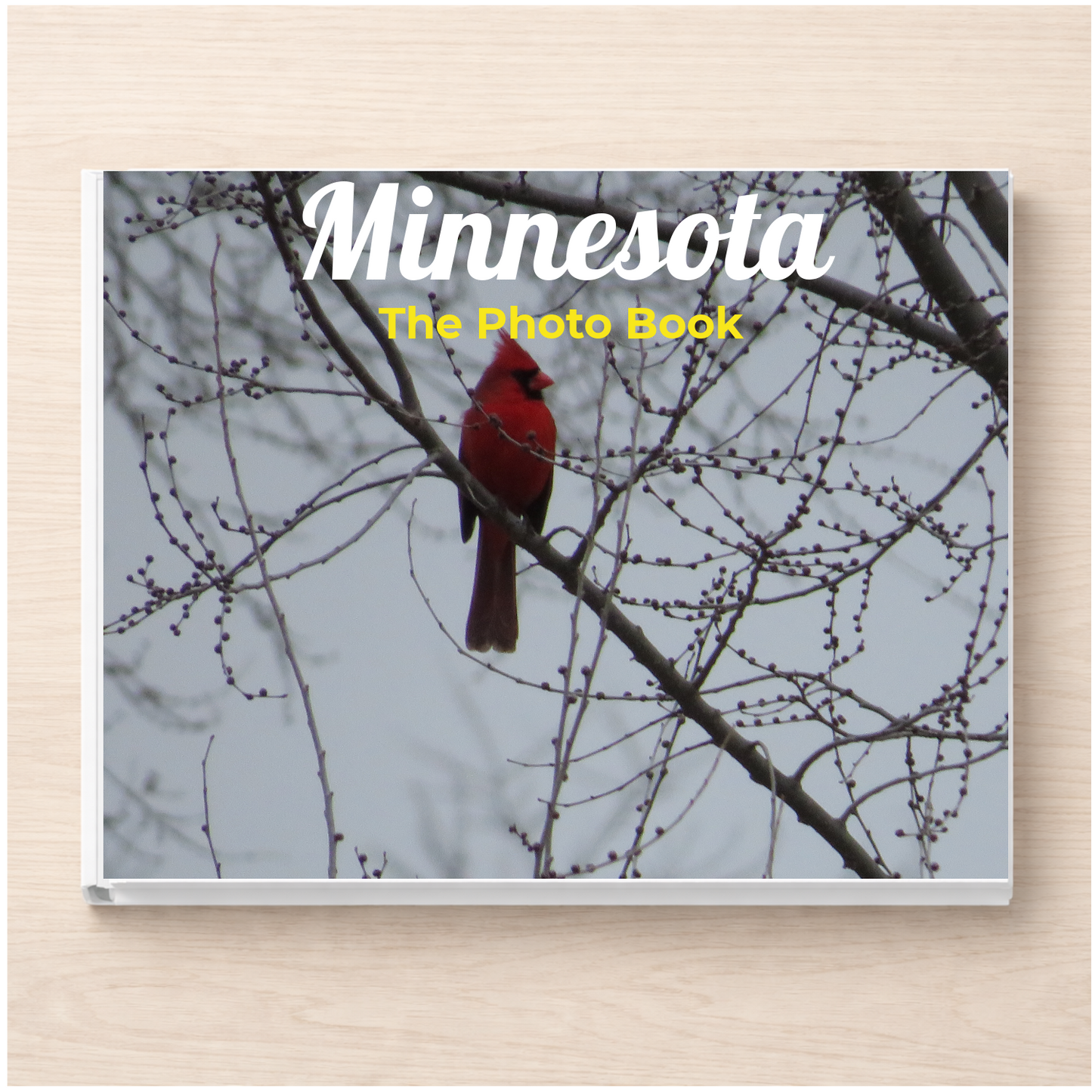 Minnesota: The Photo Book