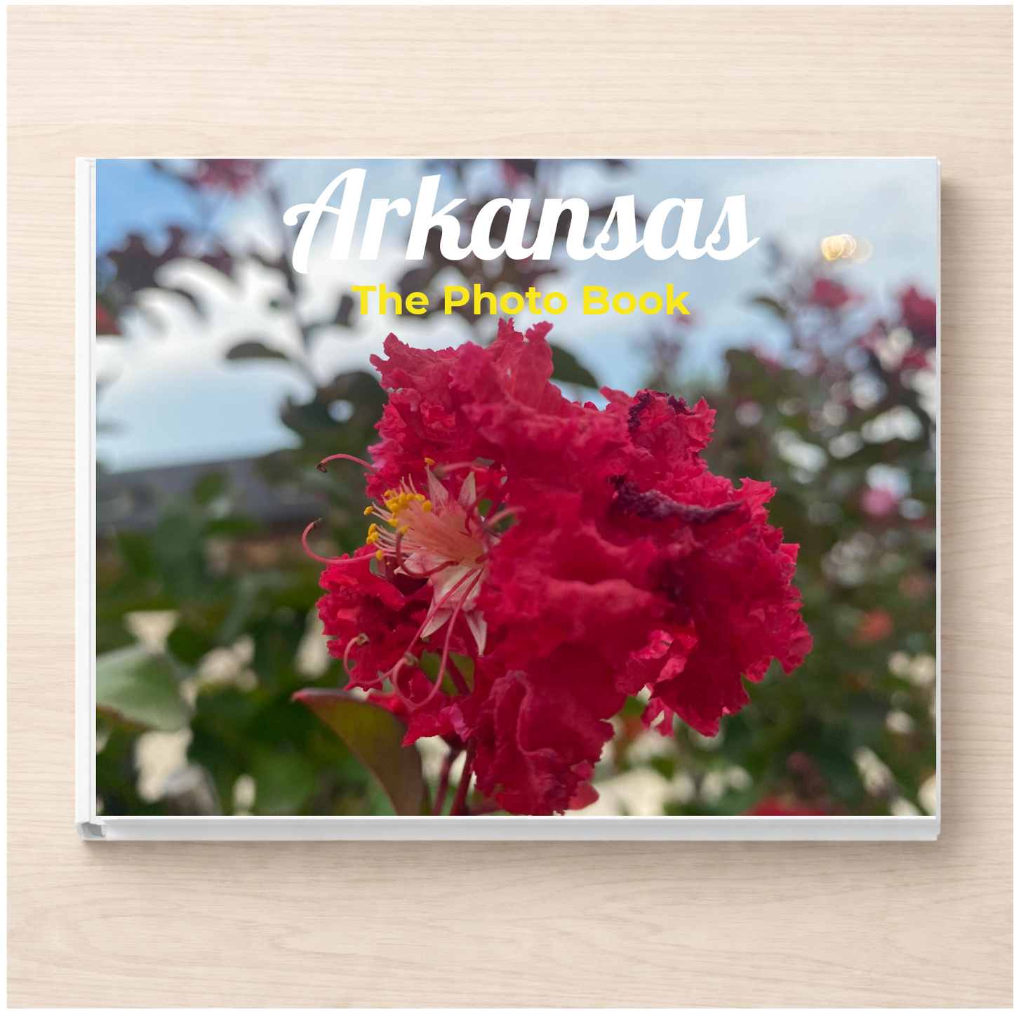 Arkansas: The Photo Book