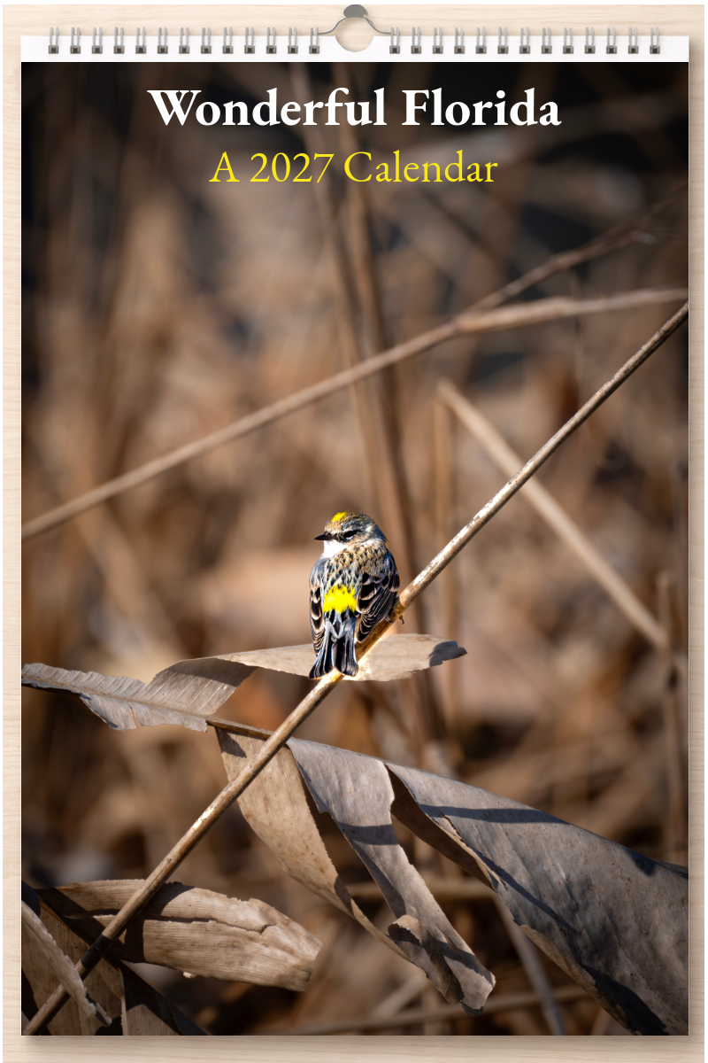 Wonderful Florida: A 2027 Calendar