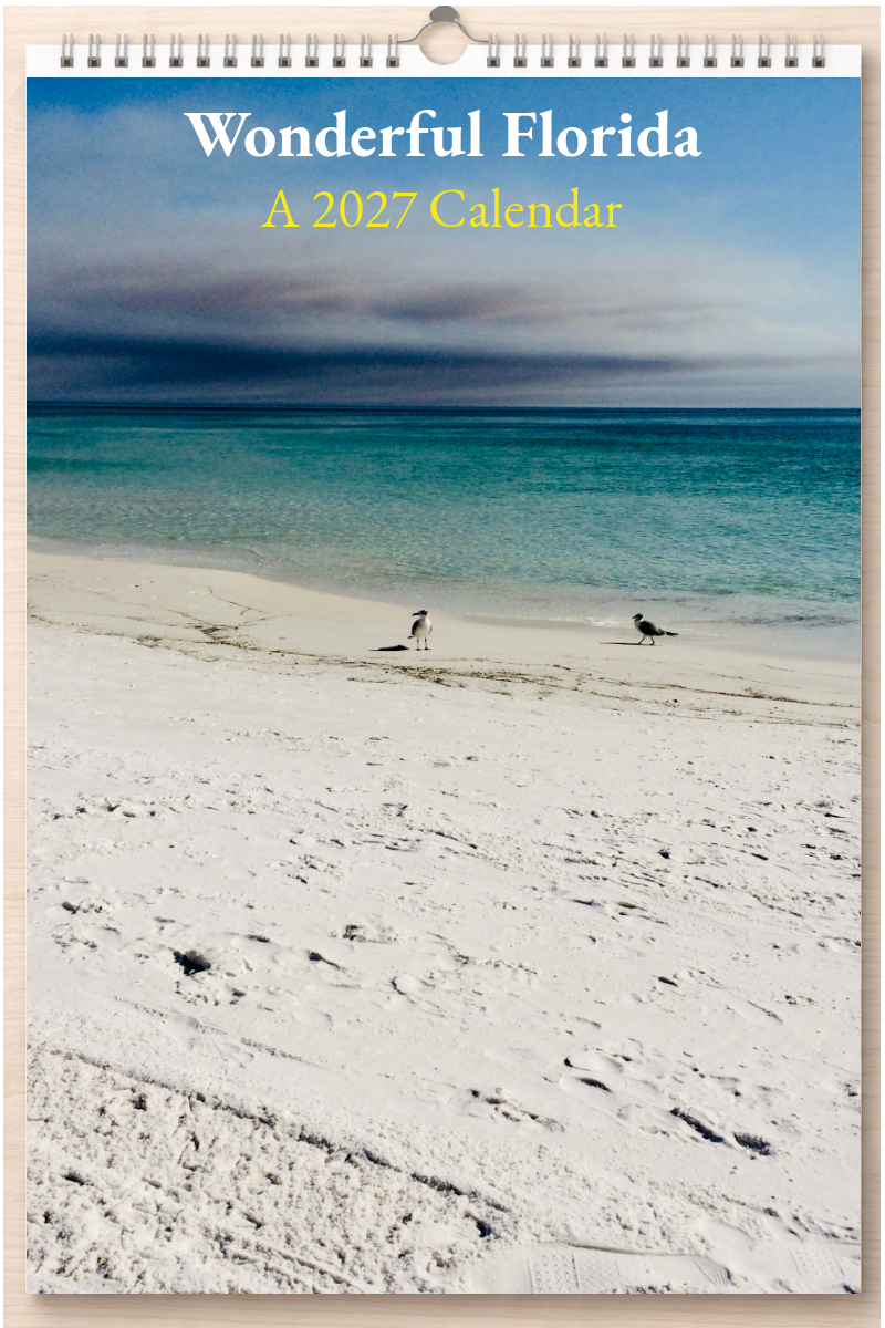 Wonderful Florida: A 2027 Calendar