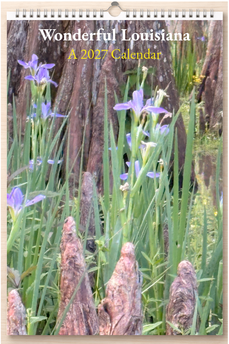 Wonderful Louisiana: A 2027 Calendar