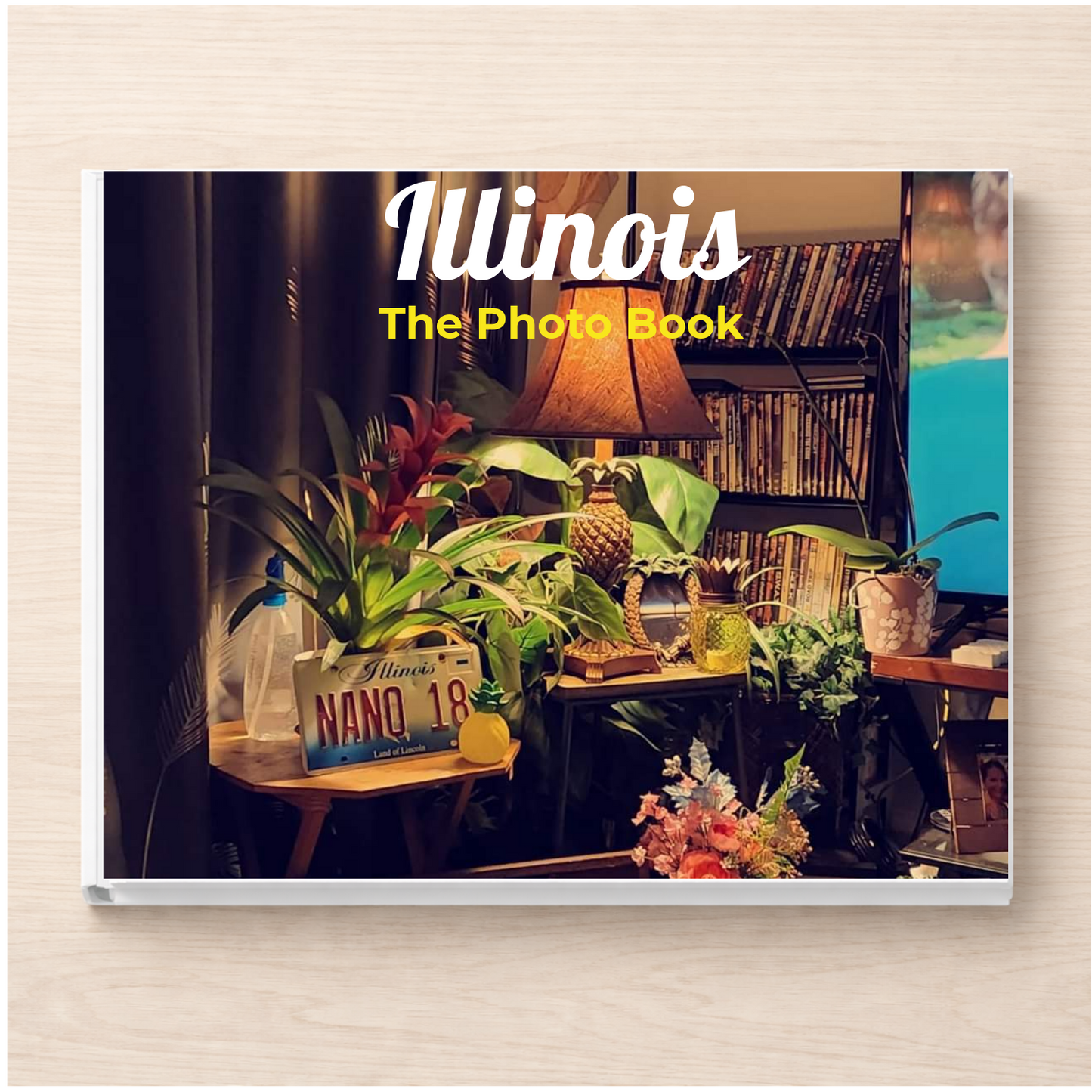 Illinois: The Photo Book