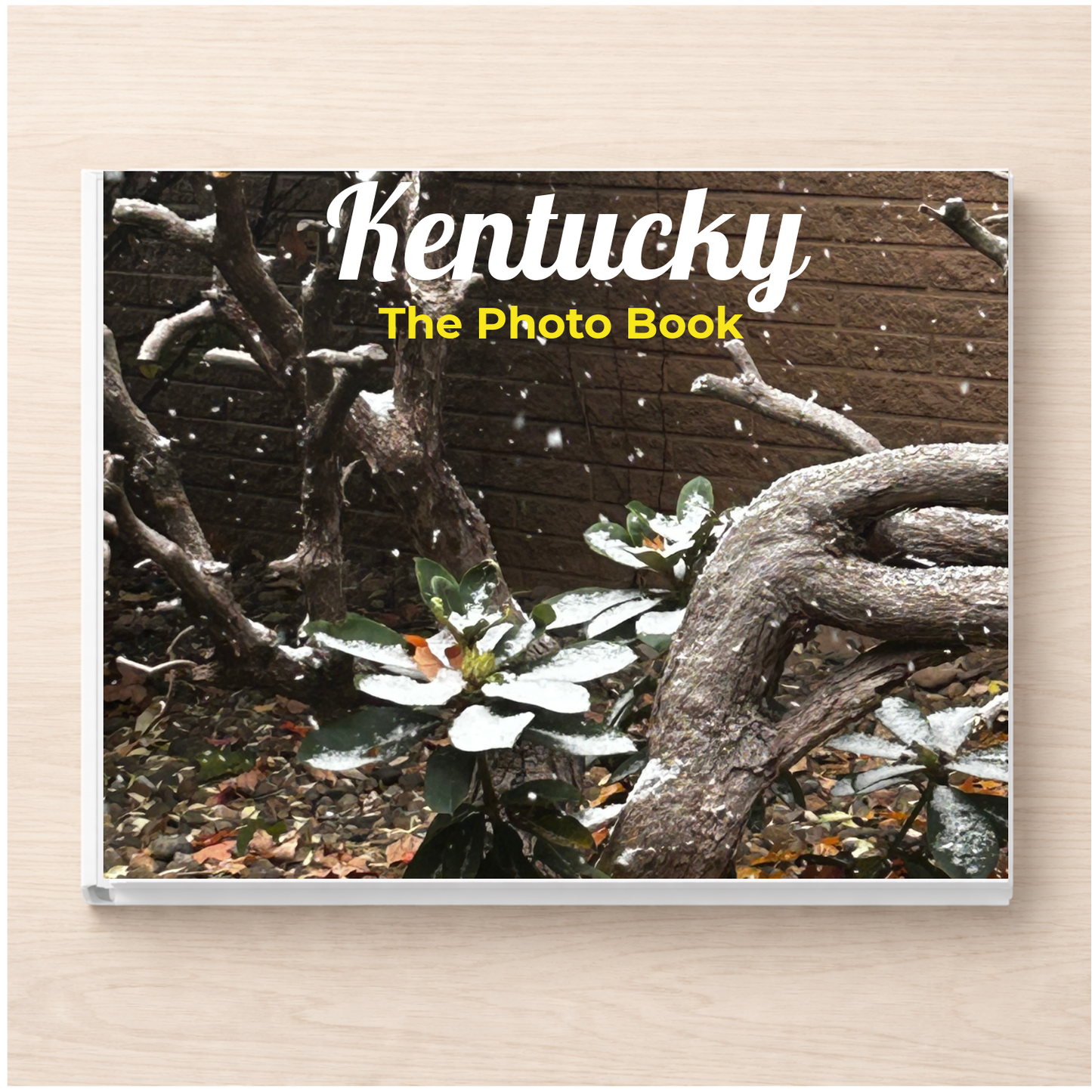 Kentucky: The Photo Book