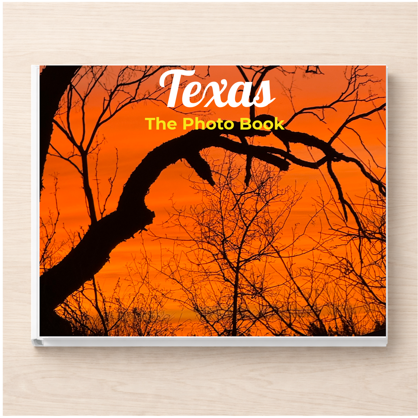 Texas: The Photo Book