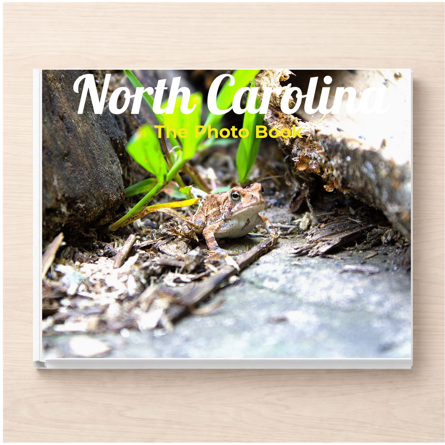North Carolina: The Photo Book