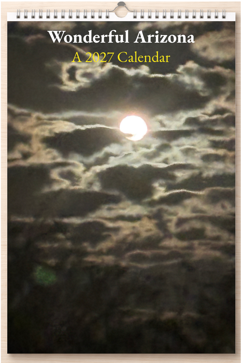 Wonderful Arizona: A 2027 Calendar