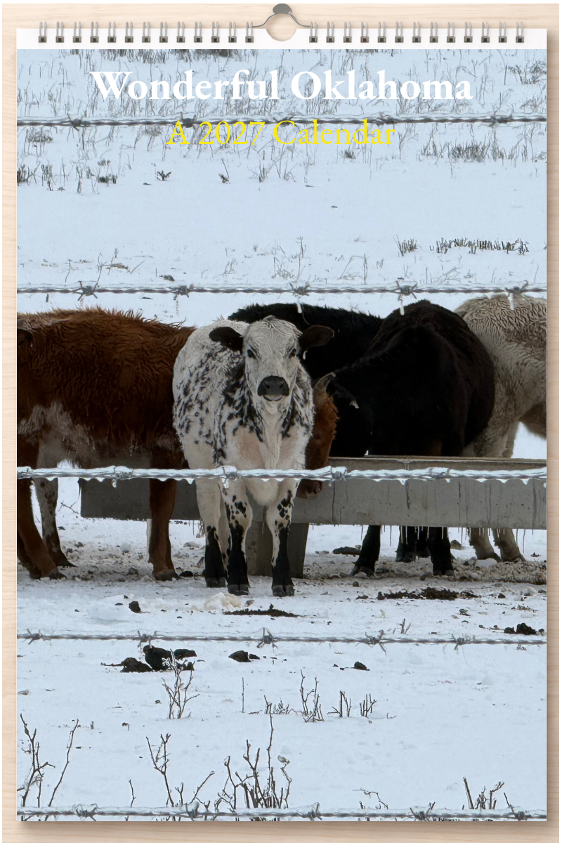 Wonderful Oklahoma: A 2027 Calendar