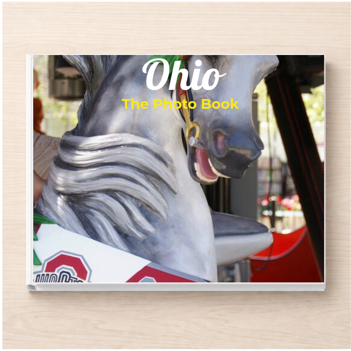 Ohio: The Photo Book