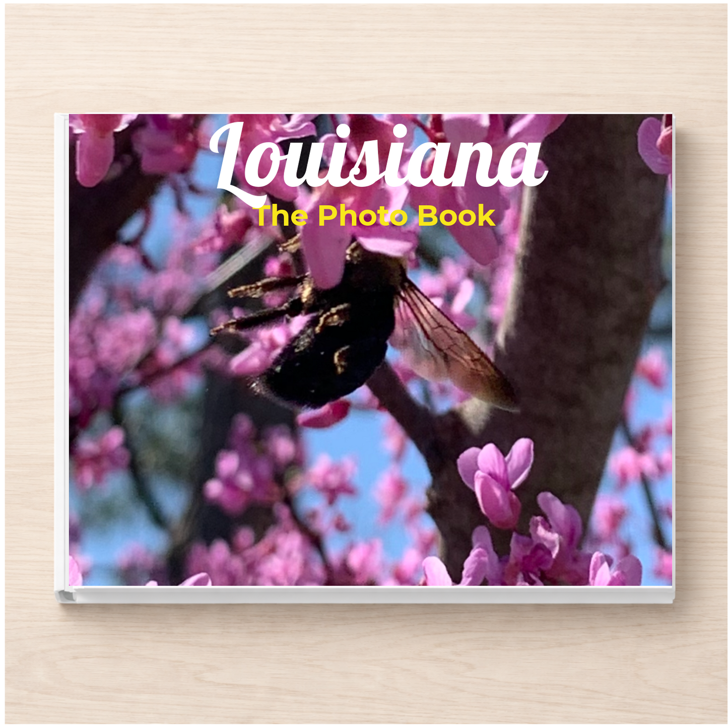 Louisiana: The Photo Book