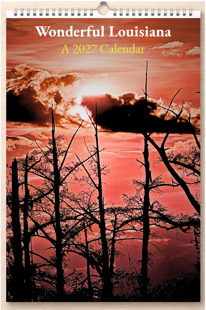 Wonderful Louisiana: A 2027 Calendar