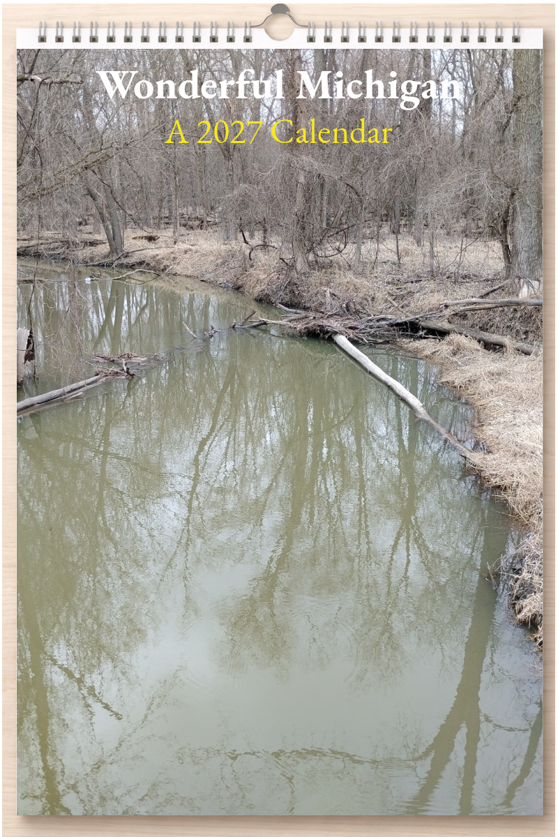 Wonderful Michigan: A 2027 Calendar