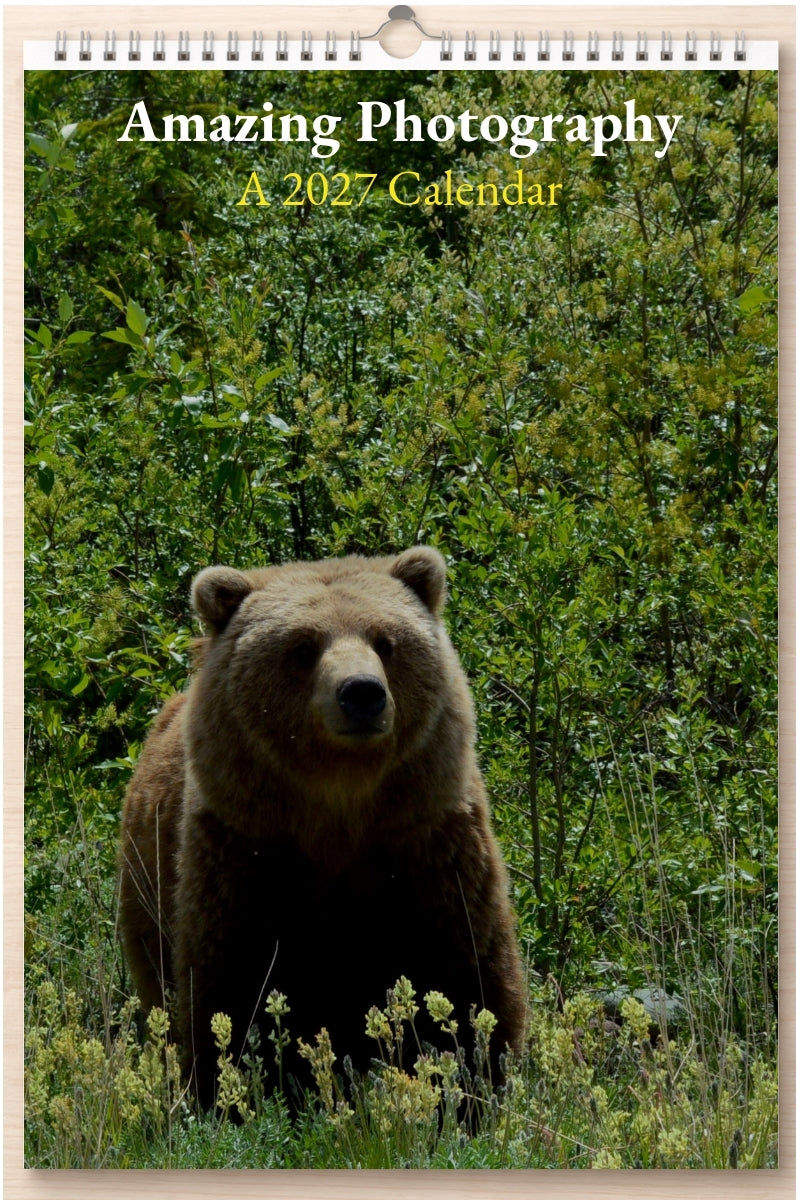 Amazing Photography: A 2027 Calendar