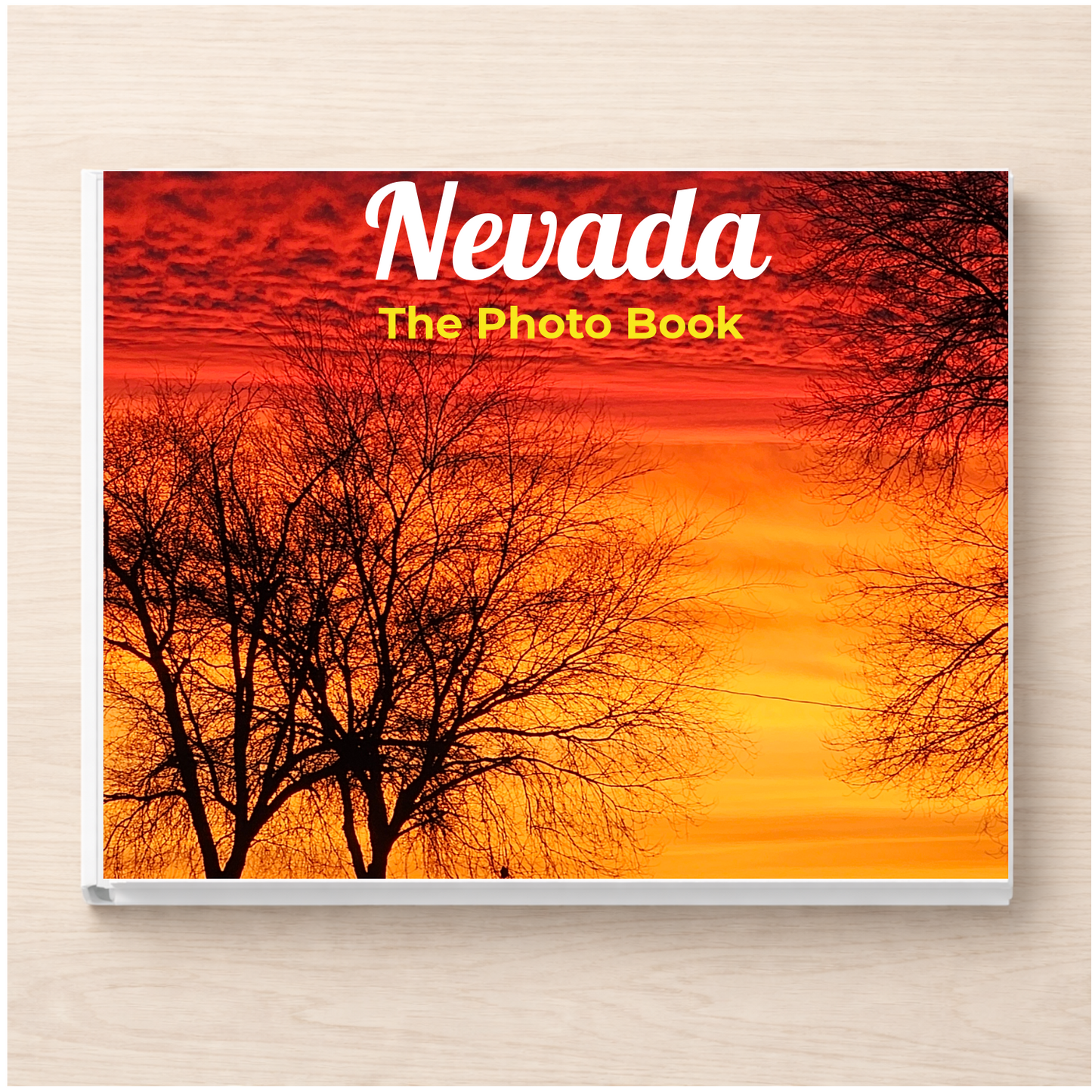 Nevada: The Photo Book