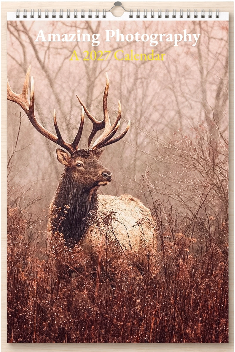 Amazing Photography: A 2027 Calendar