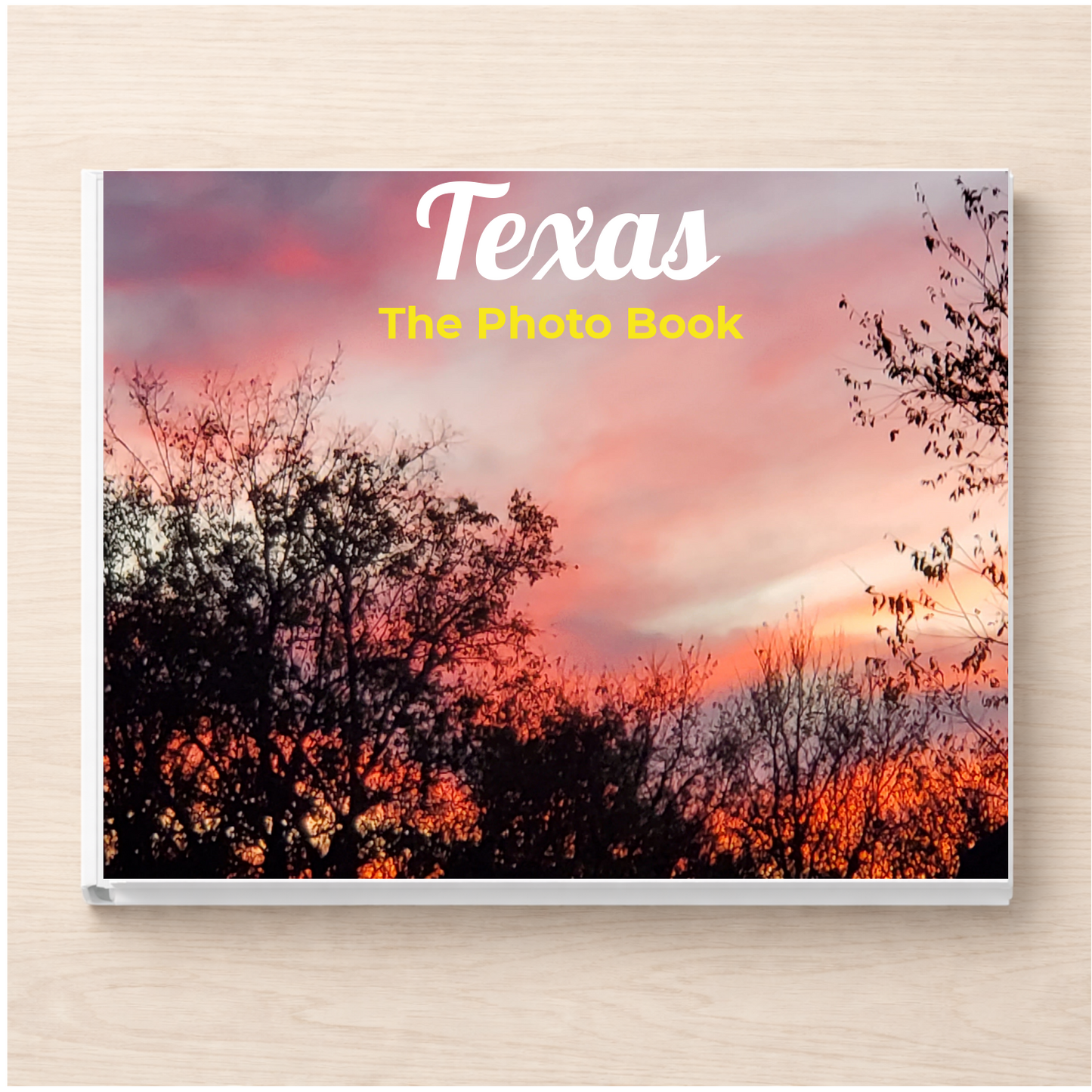 Texas: The Photo Book