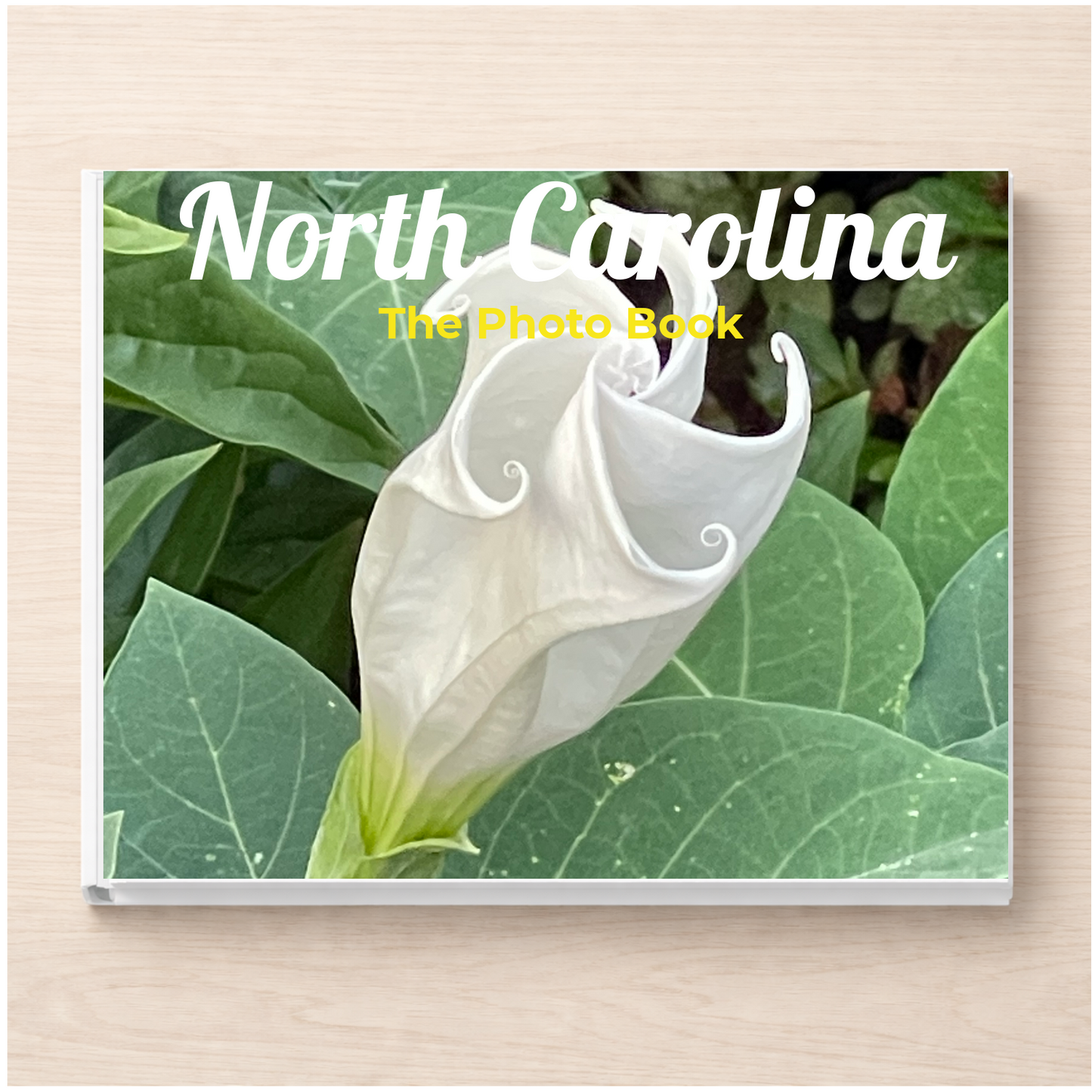 North Carolina: The Photo Book