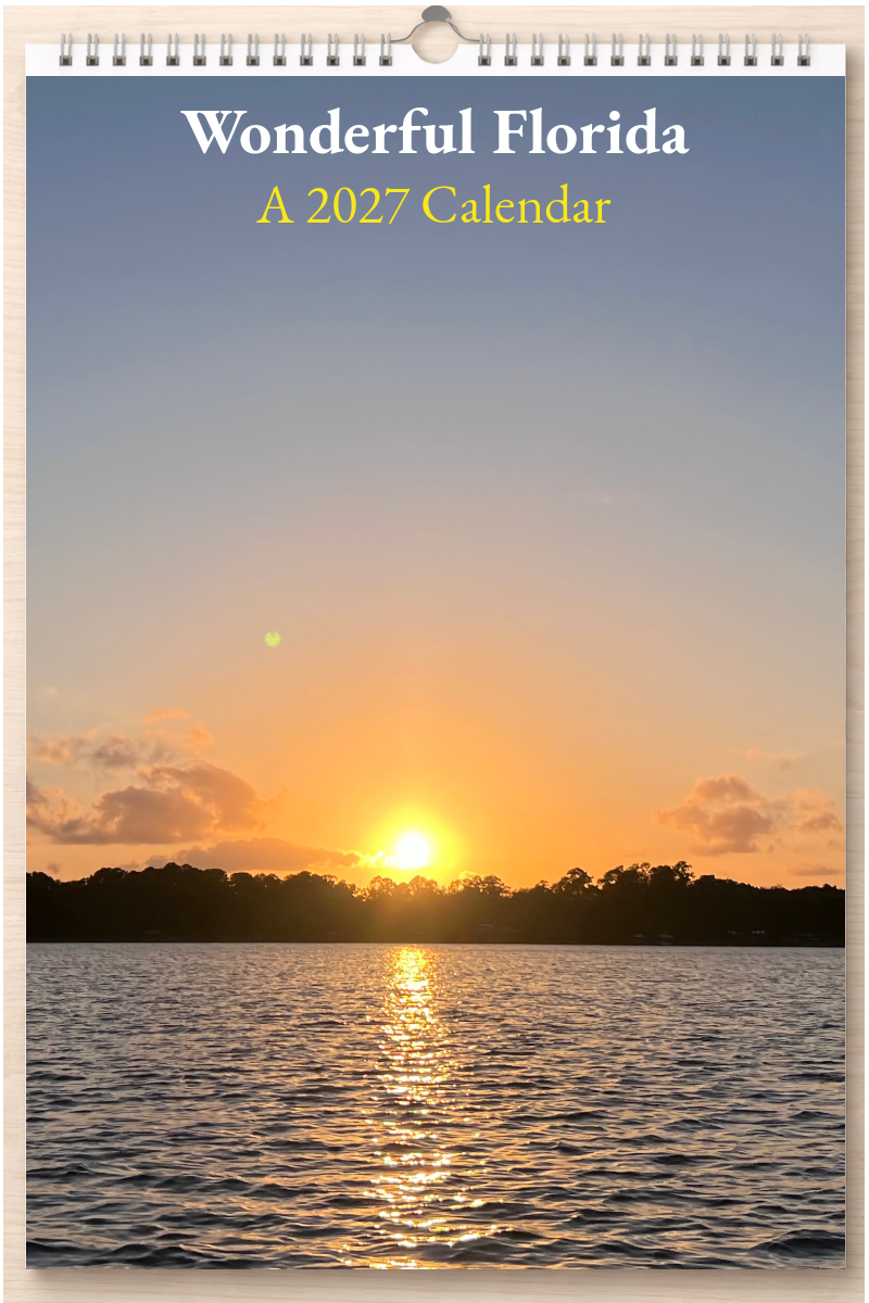Wonderful Florida: A 2027 Calendar
