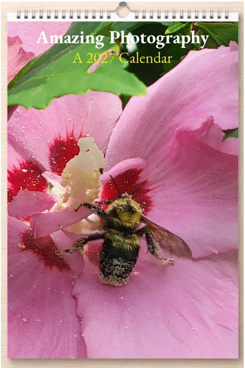 Amazing Photography: A 2027 Calendar