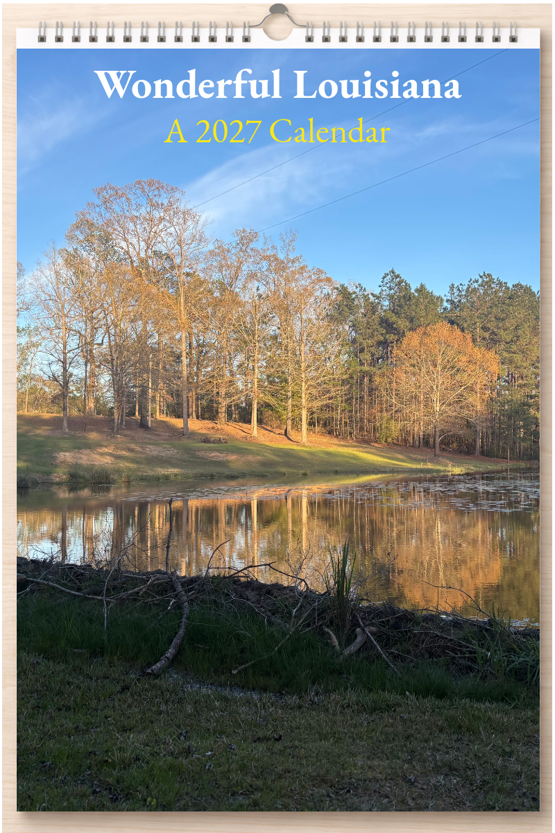 Wonderful Louisiana: A 2027 Calendar