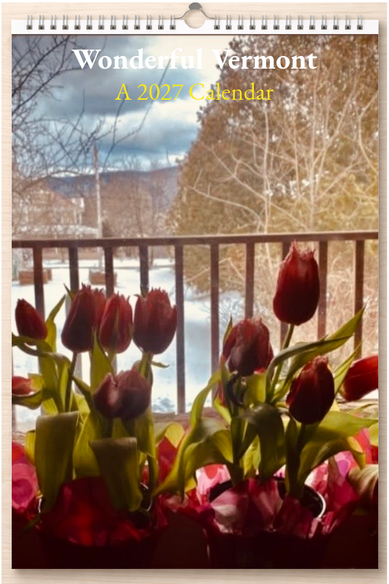 Wonderful Vermont: A 2027 Calendar – Silent Spark Press