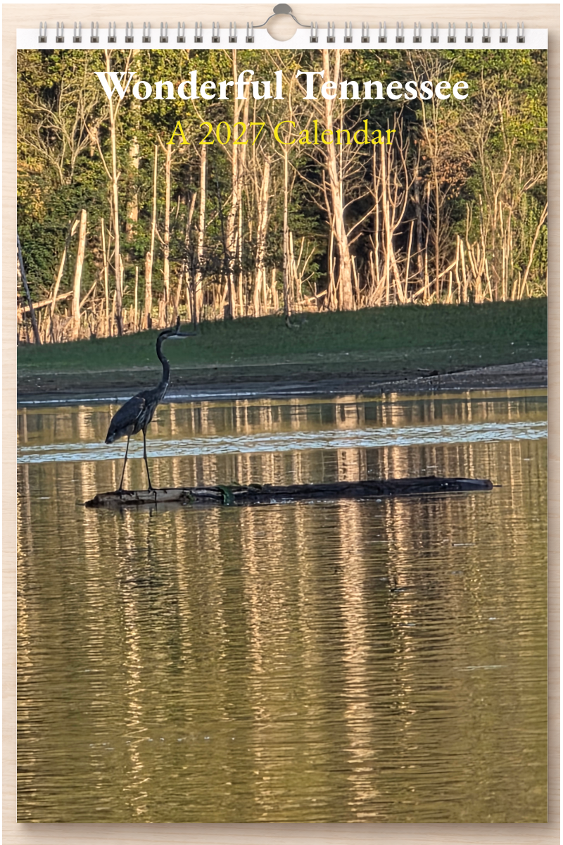 Wonderful Tennessee: A 2027 Calendar