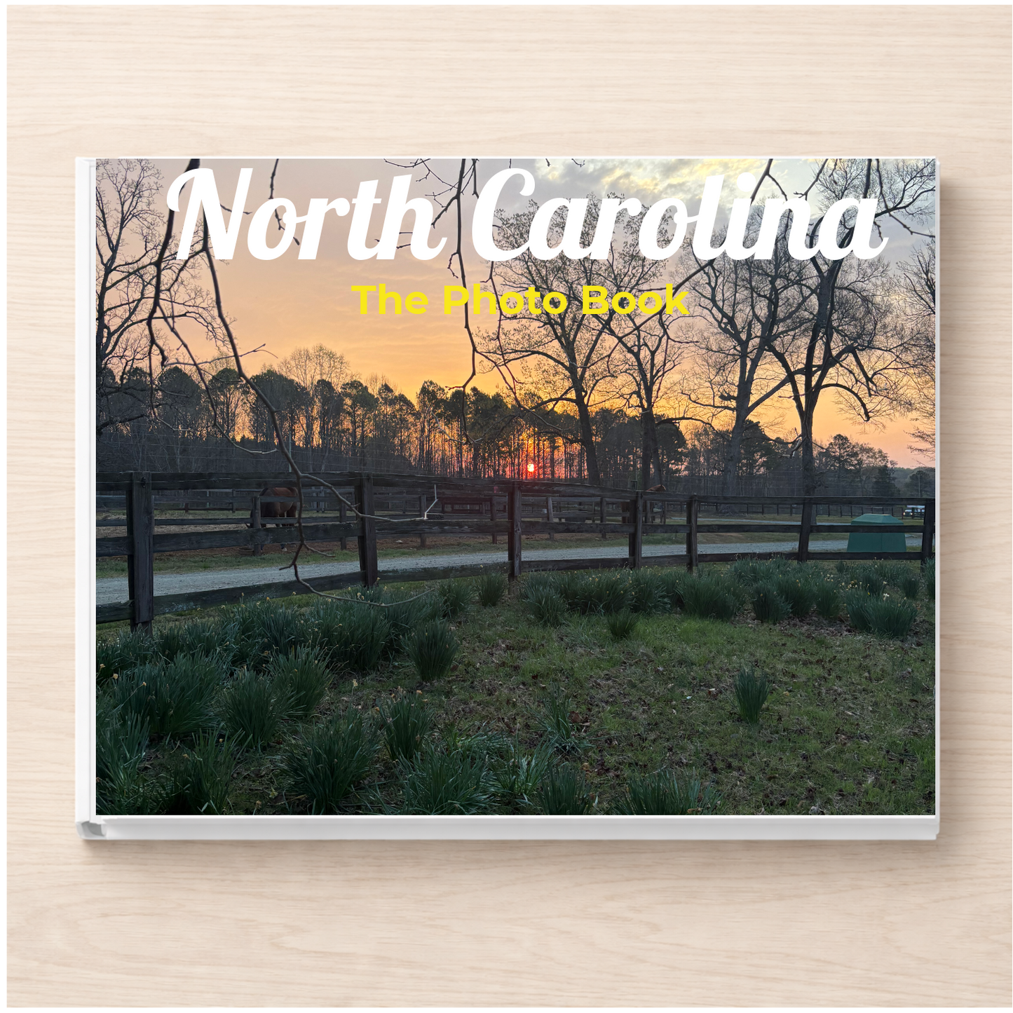 North Carolina: The Photo Book