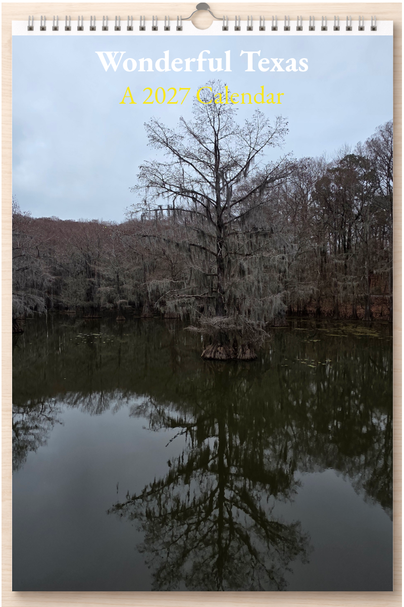Wonderful Texas: A 2027 Calendar