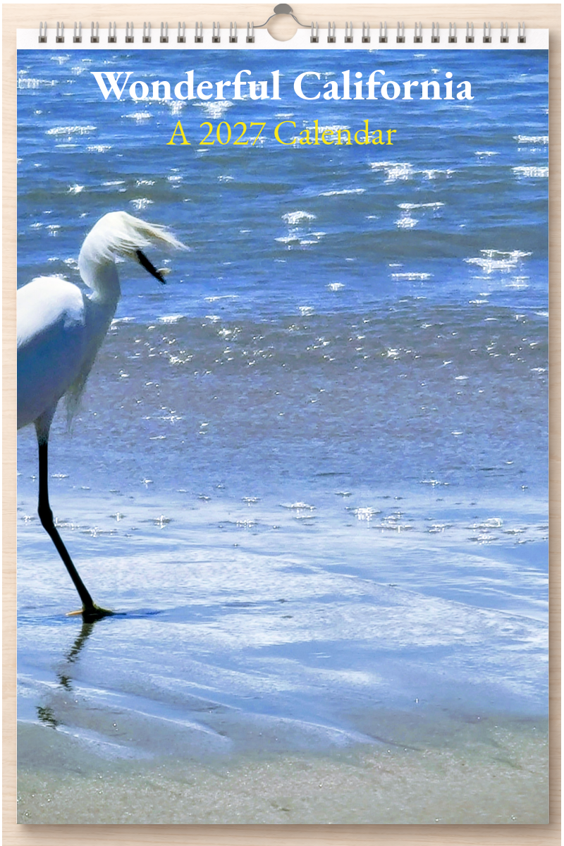 Wonderful California: A 2027 Calendar