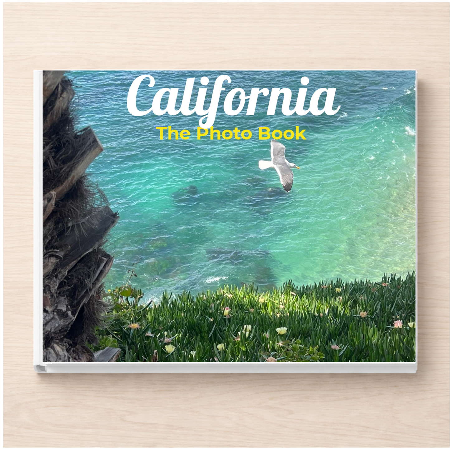 California: The Photo Book