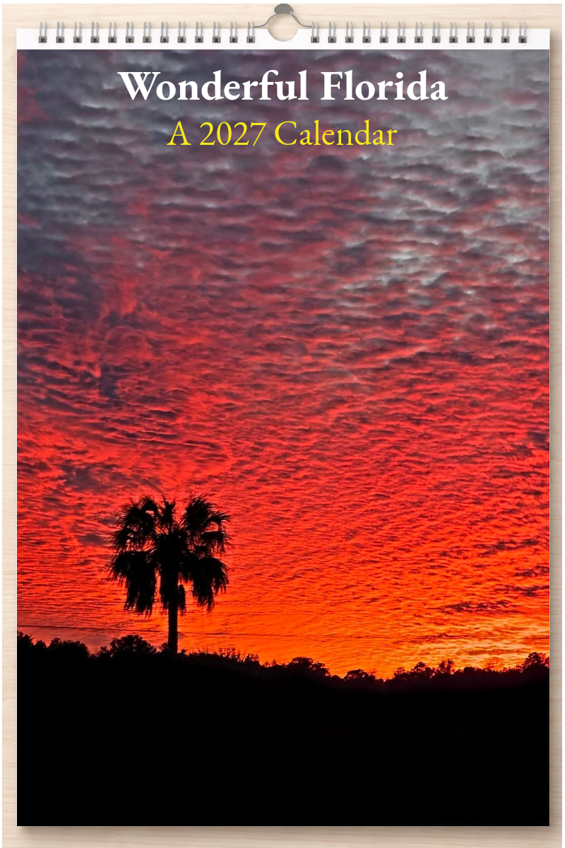 Wonderful Florida: A 2027 Calendar