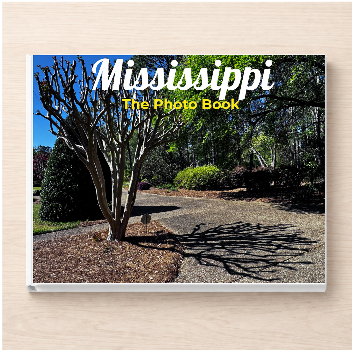 Mississippi: The Photo Book