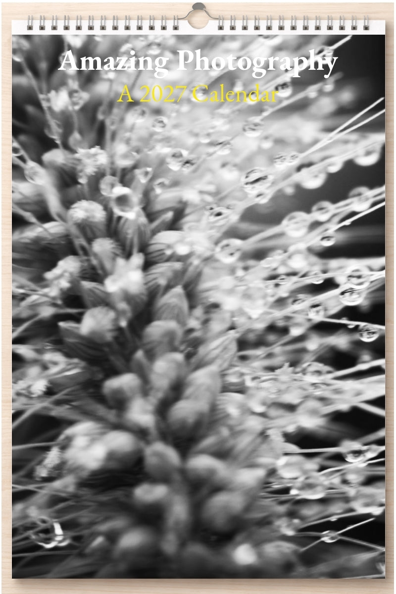 Amazing Photography: A 2027 Calendar