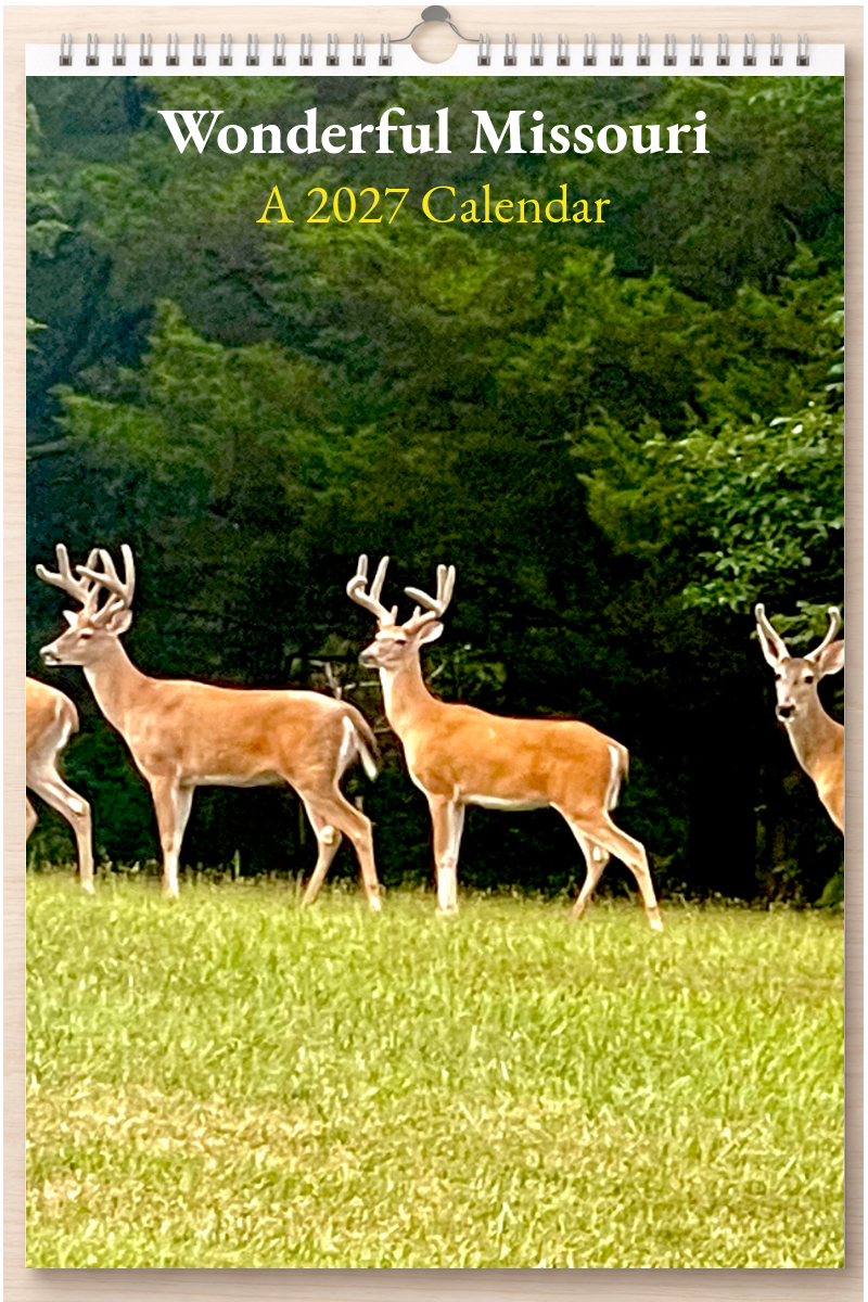 Wonderful Missouri: A 2027 Calendar