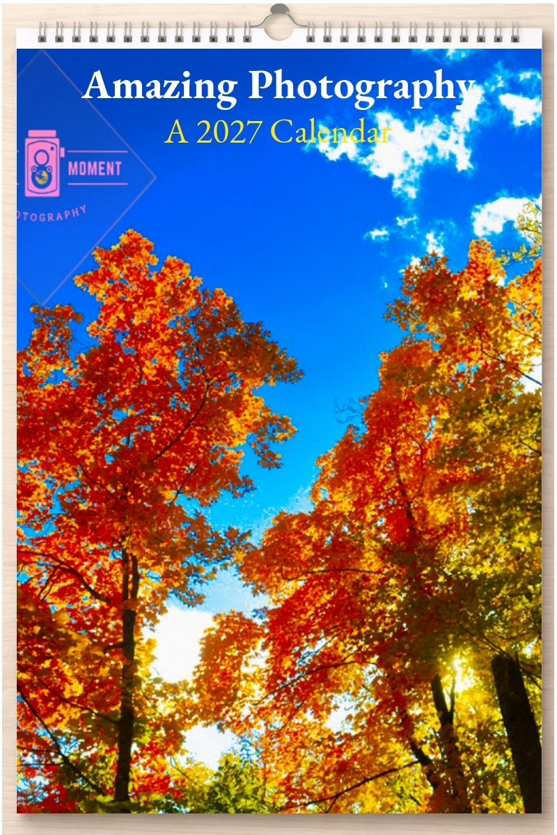 Amazing Photography: A 2027 Calendar