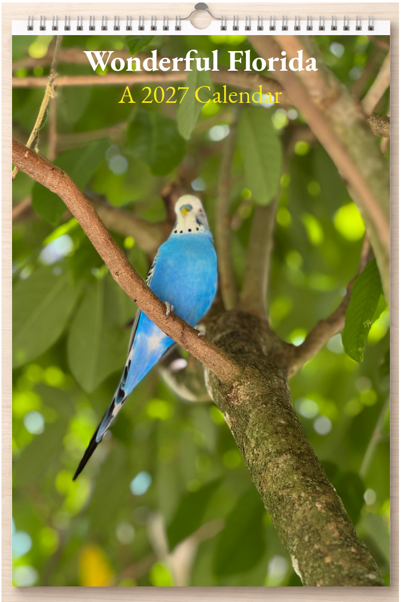 Wonderful Florida: A 2027 Calendar