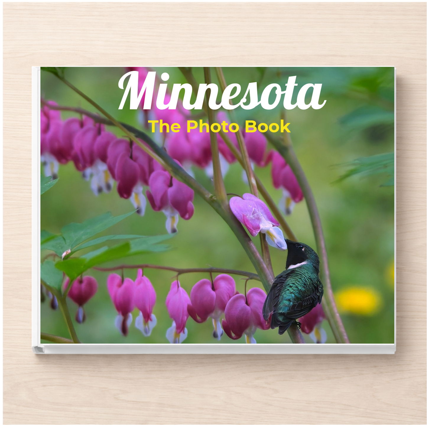 Minnesota: The Photo Book