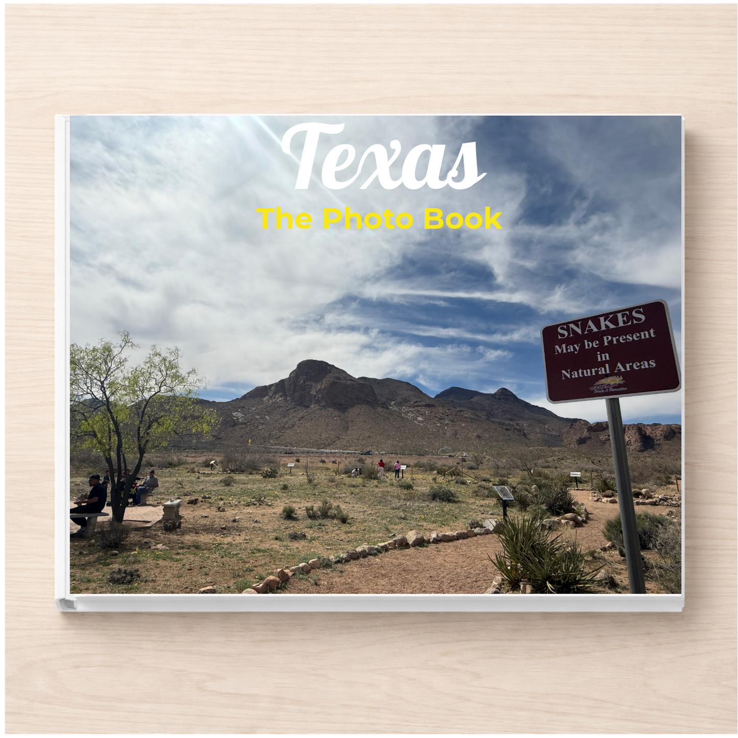 Texas: The Photo Book