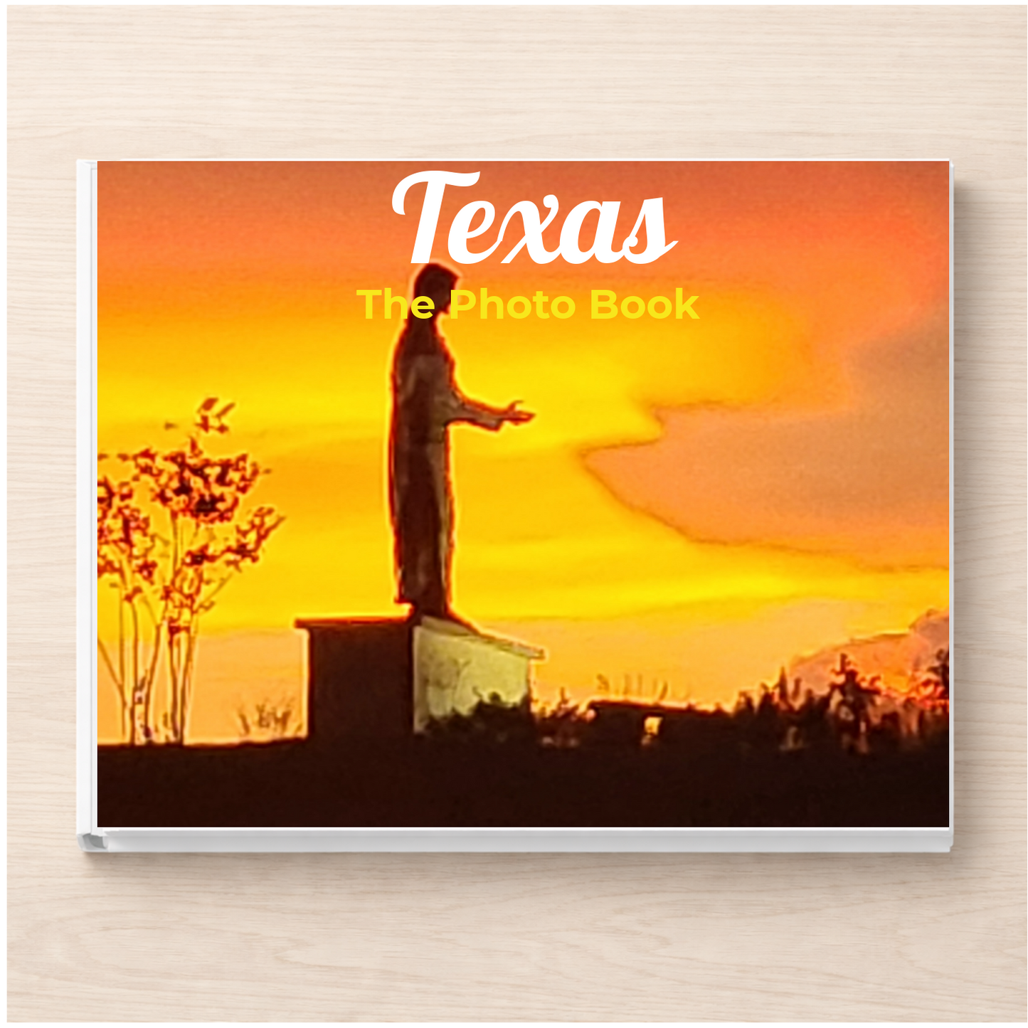 Texas: The Photo Book