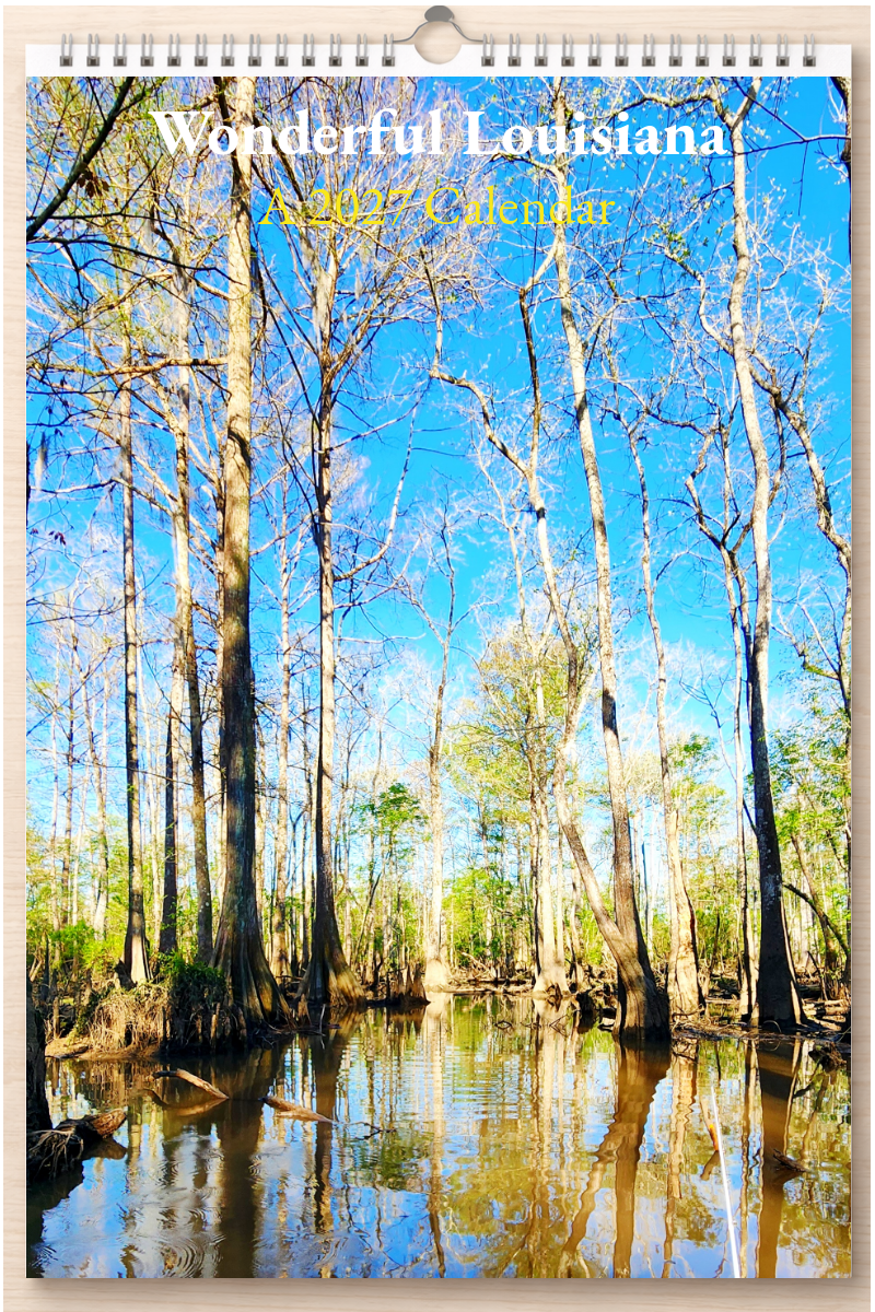 Wonderful Louisiana: A 2027 Calendar