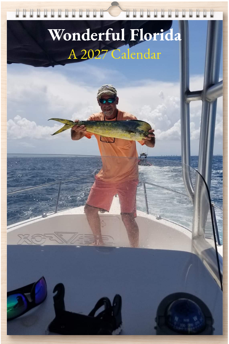 Wonderful Florida: A 2027 Calendar